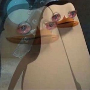 Meet your Posher, Eva